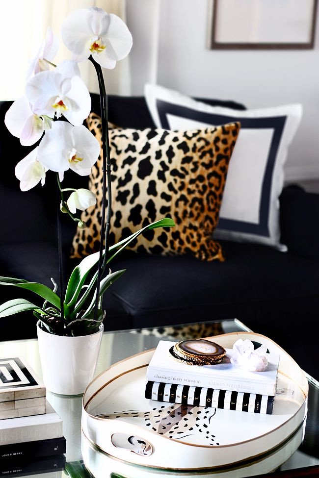Animal Print Living Room Decor Inspirational 17 Best Ideas About Leopard Pillow On Pinterest