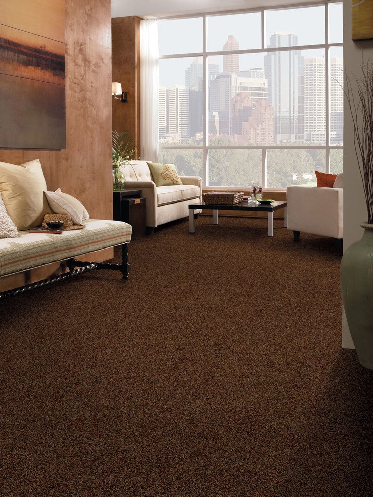 Carpet for Living Room Ideas Fresh Amazing Tuftex Carpet Decorating Ideas