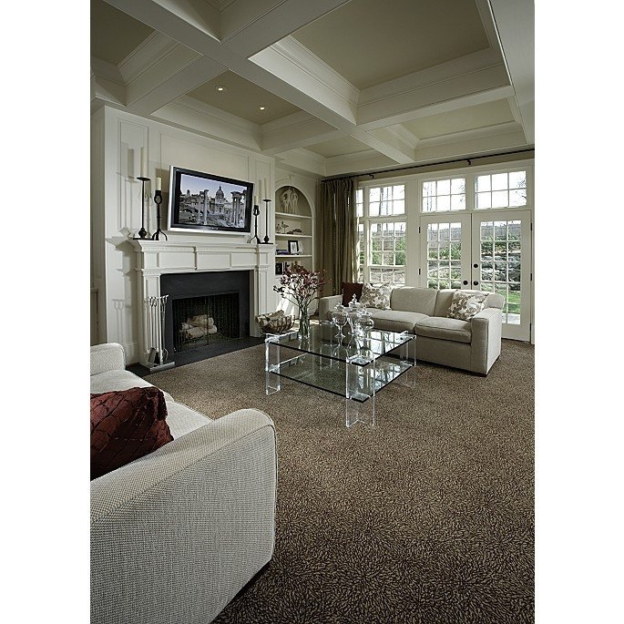 Carpet for Living Room Ideas Fresh Best 25 Dark Brown Carpet Ideas On Pinterest