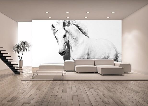 Horse Decor for Living Room Awesome Wallpaper Mural Photo White Horse Mustang Giant Wall Decor