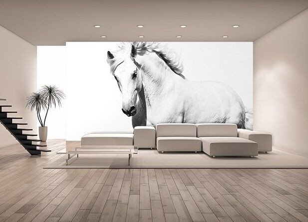 Horse Decor for Living Room Awesome Wallpaper Mural Photo White Horse Mustang Giant Wall Decor