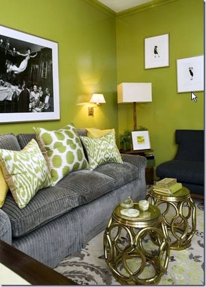 Lime Green Living Room Decor Best Of 18 Lovely Grey and Green Living Room Ideas