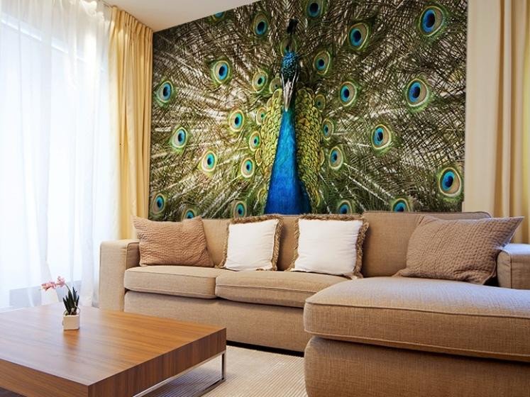 Peacock Decor for Living Room Awesome Decorating Living Room with Peacock Home Decor