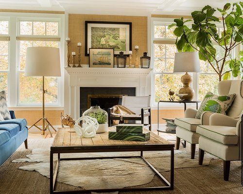 Pictures for Living Room Decor Inspirational Transitional Living Room Home Design Ideas