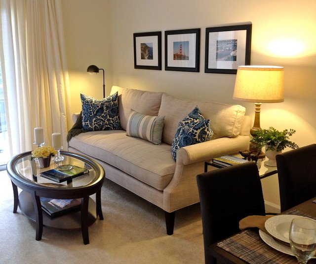 Apartment Living Room Decorating New Small Apartment Living Contemporary Living Room Raleigh by Lee Ann Burkhart Interiors