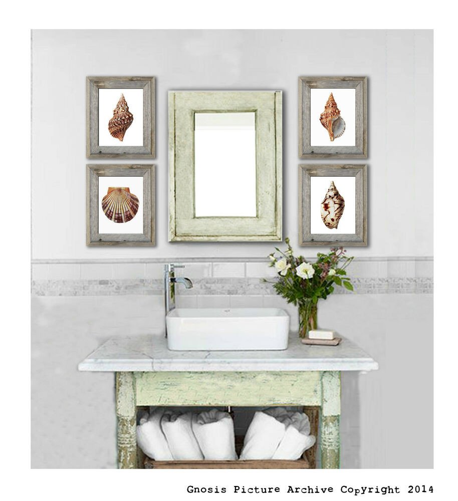 Beach themed Bathroom Wall Decor Beautiful Sea Shells Beach theme Decor Art Prints Set Of 4 Wall Art 8x10 Poster Prints