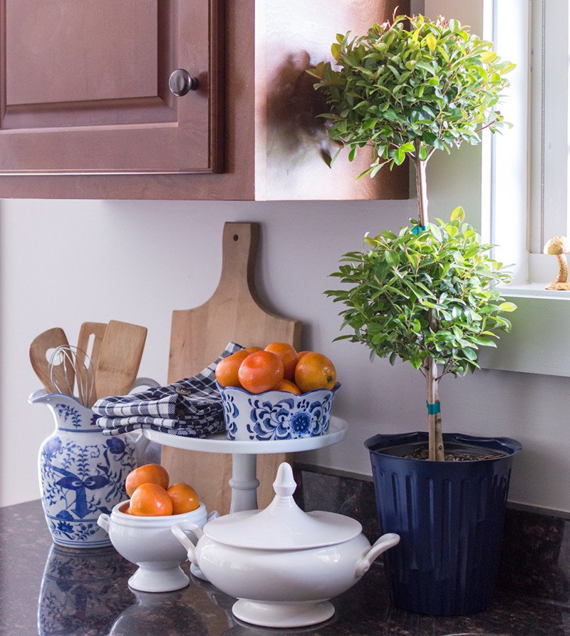 Blue and White Kitchen Decor Luxury Decorating with Blue and White Porcelain the Home I Create