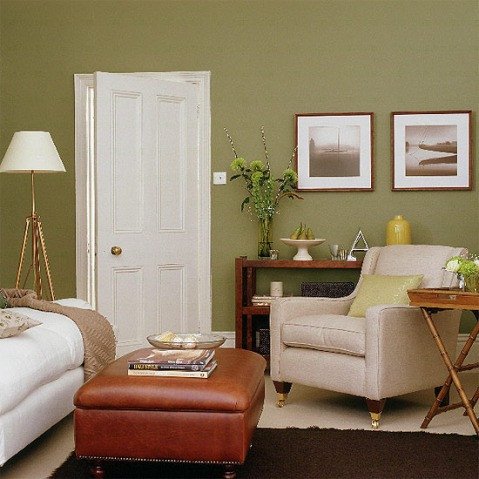 Brown Living Room Ideas Unique Green and Brown Living Room Decor Interior Design