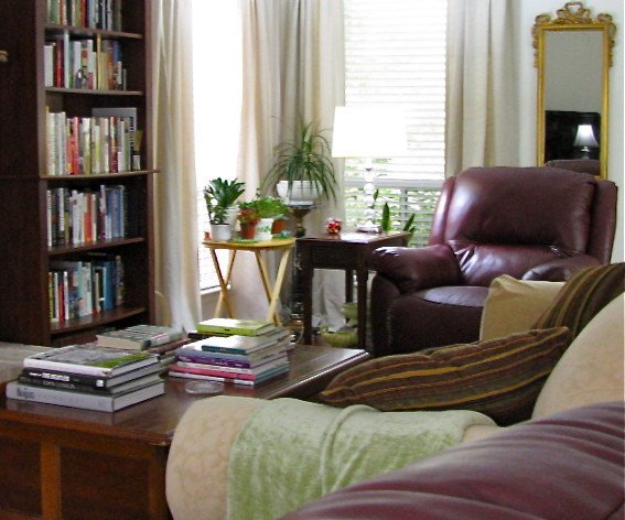 Casual Comfortable Living Room New Casual and fortable