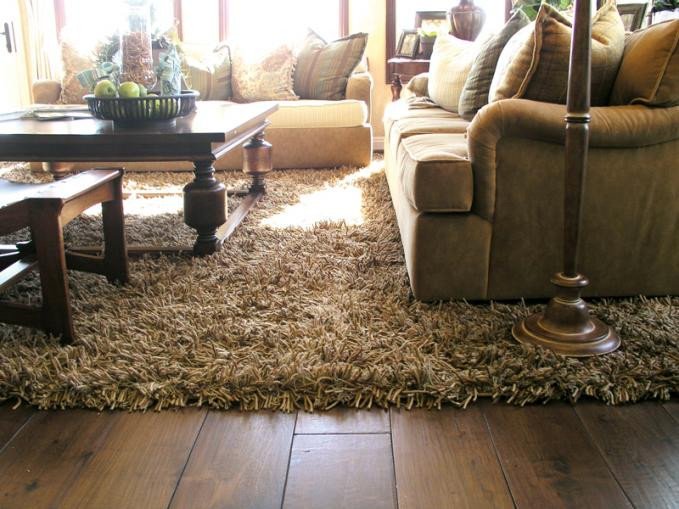 Comfortable Living Room Rugs Luxury Add Luxury and fort to Your Living Room with Shag Rugs – Albanian Journalism