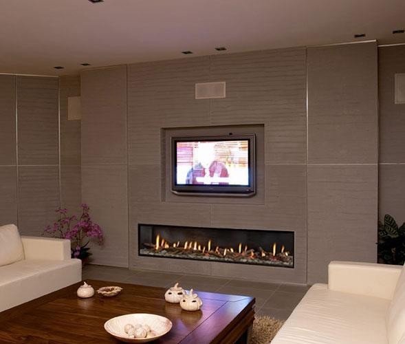 Contemporary Living Room Fireplace New ortal Clear 200 Fireplace Modern Living Room Denver by Home and Hearth Outfitters