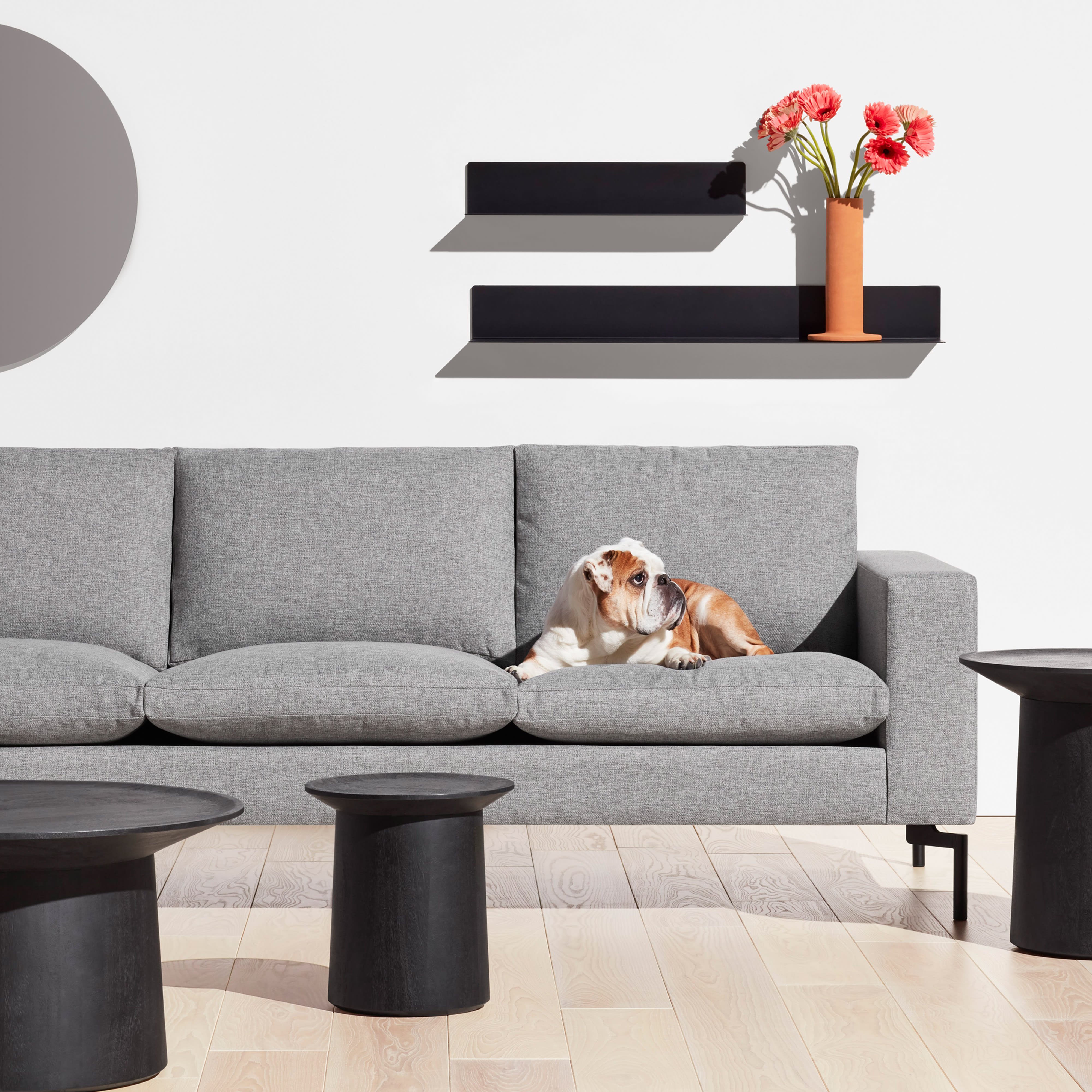 Contemporary Living Room sofas Best Of Modern Living Room Furniture Contemporary Living