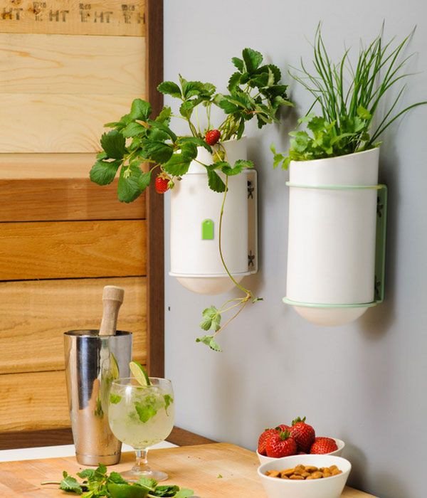 Decor Ideas for Kitchen Walls New Unique Kitchen Wall Décor Ideas