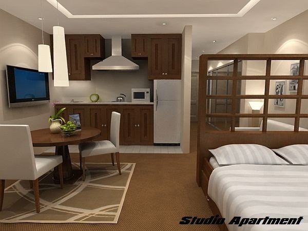 Decor Ideas for Studio Apartments Awesome Maximizing Your Space In A Studio Apartment