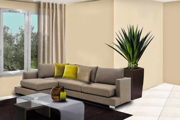 How to Decor Living Room Beautiful How to Decorate Your Living Room with Plants