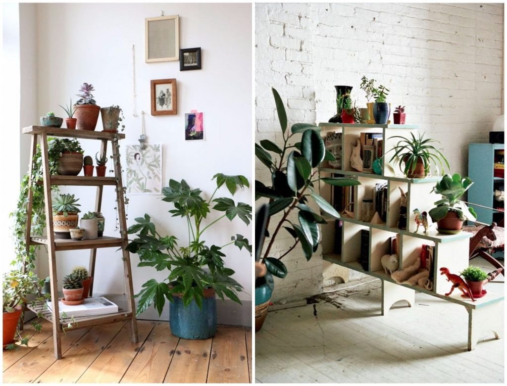 Indoor Plants for Home Decor Best Of 9 Indoor Plants You Can T Kill