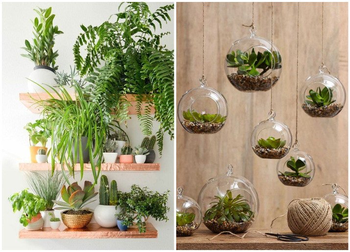 Indoor Plants for Home Decor Elegant Decorate Your Home with Indoor Plants 5 Easy Home Decor Ideas