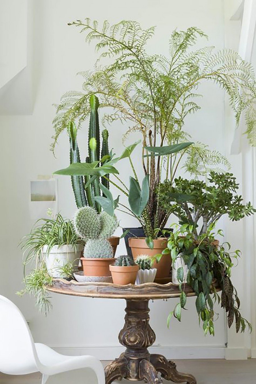 Indoor Plants for Home Decor Lovely 10 Happy Living Room Ideas with Plants