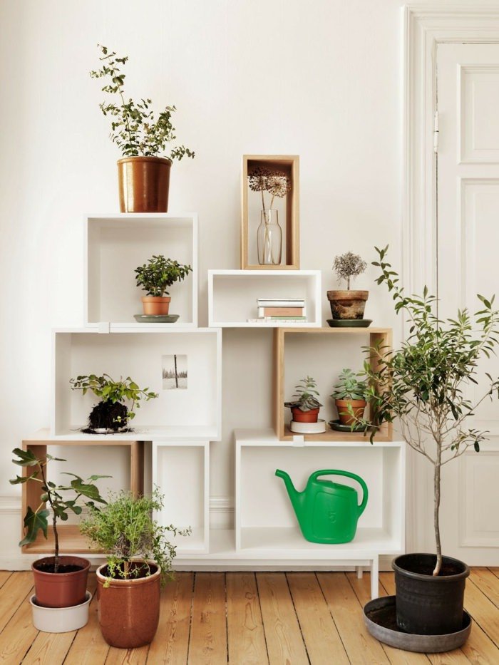 Indoor Plants for Home Decor New 99 Great Ideas to Display Houseplants Indoor Plants Decoration