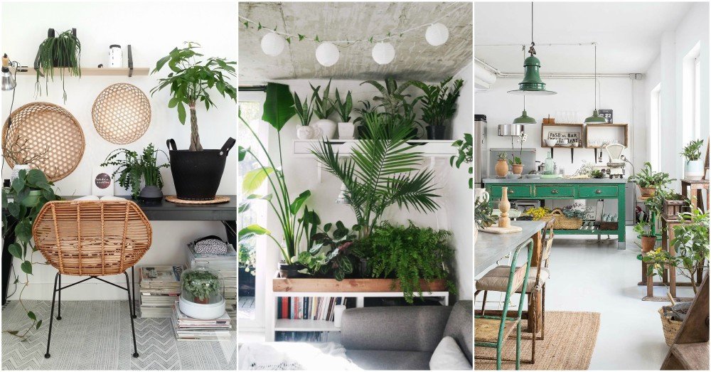 Indoor Plants for Home Decor Unique Indoor Plant Decor Ideas to Freshen Up Your Home