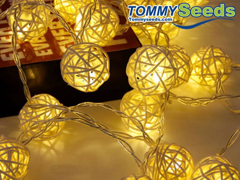 Led Lights for Home Decor Unique Rattan Ball Led String Fairy Lights Christmas Tree ornaments Xmas Decoration Warm White Led