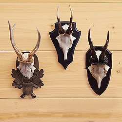 May Rich Company Home Decor Awesome Two S Pany Set Of 3 Hunt Club Trophy Wall Decor