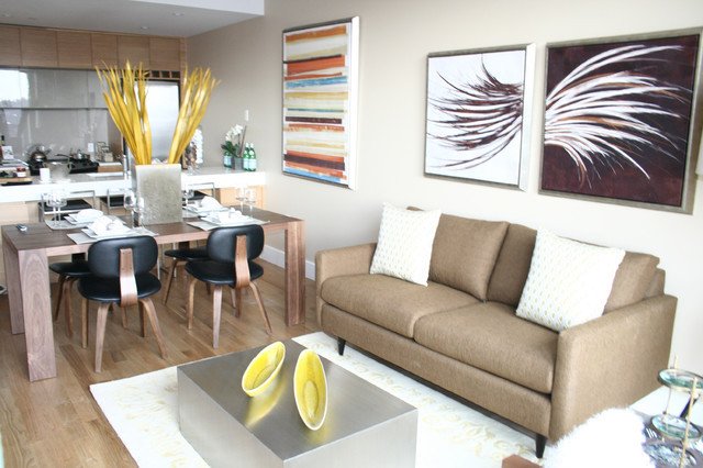 Modern Condo Living Room Decorating Ideas Inspirational Park Slope Brooklyn Condominium Modern Living Room New York by Cathy Hobbs Design Recipes