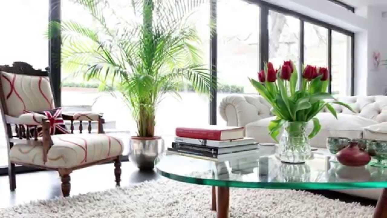 Modern Living Room Decorating Ideas Plant Beautiful How to Make Your Home Look More Expensive More Splash Than Cash