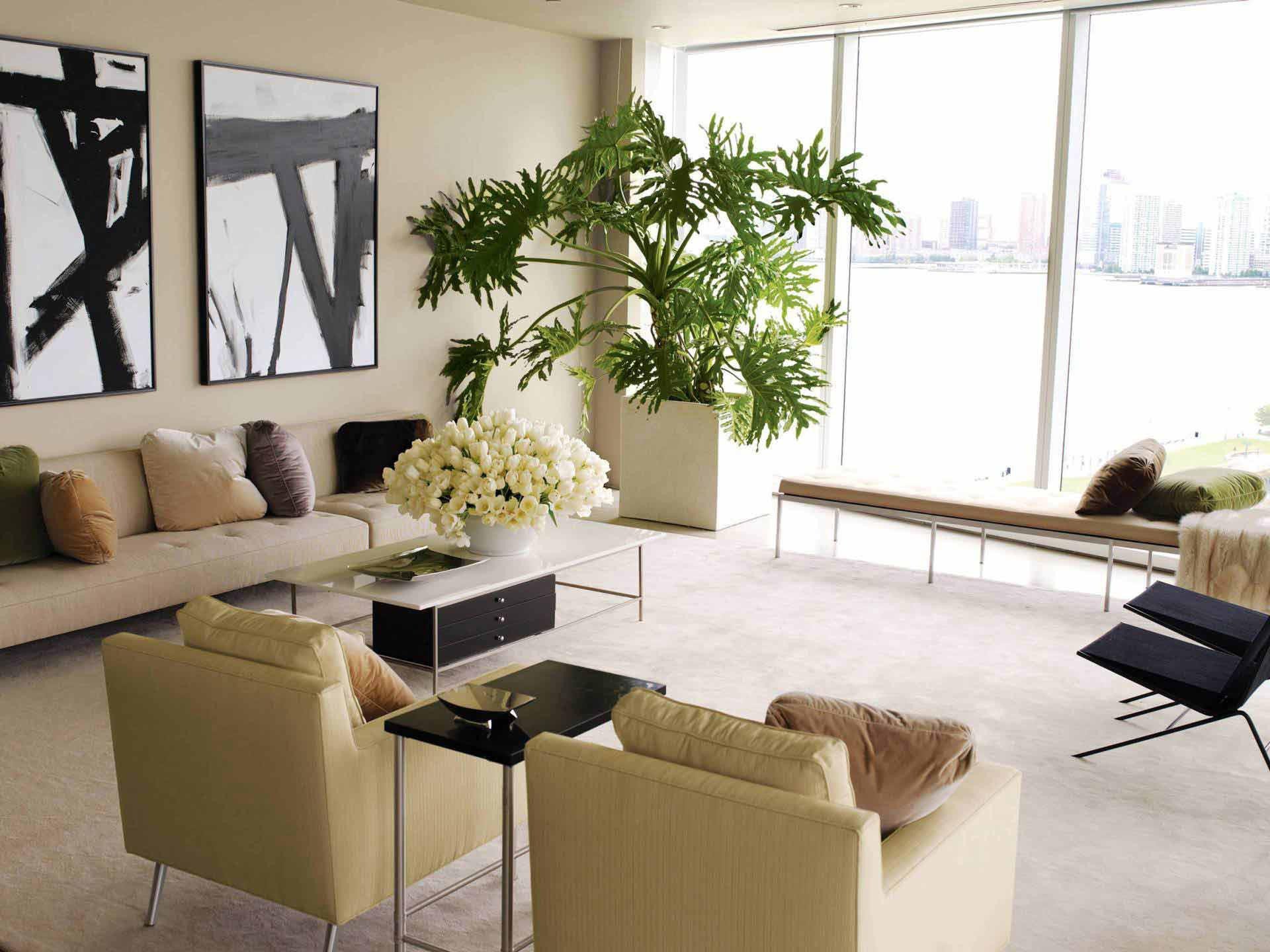 Modern Living Room Decorating Ideas Plant Best Of Decorating Our Homes with Plants Interior Design Explained