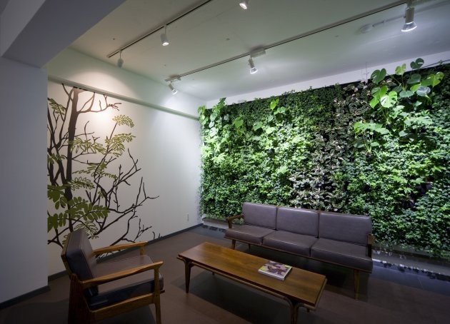 Modern Living Room Decorating Ideas Plant New Green Walls