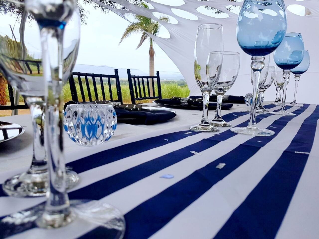 Navy Blue and White Decor Elegant Black Navy Blue and White Party Decor Shongaevents Shongaevents