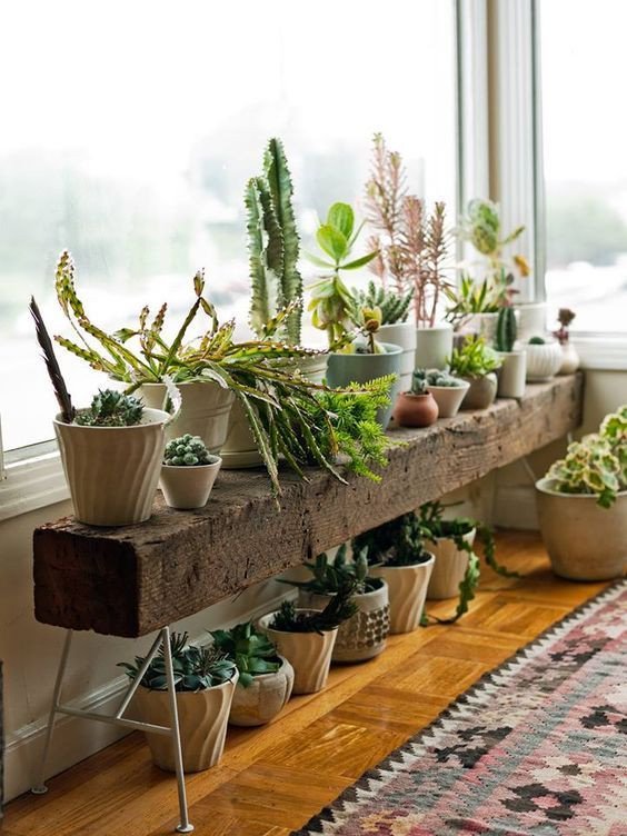 Plant Stand Ideas to Fill Your Living Room Beautiful 12 Extraordinary Diy Plant Stands House Plants In 2019