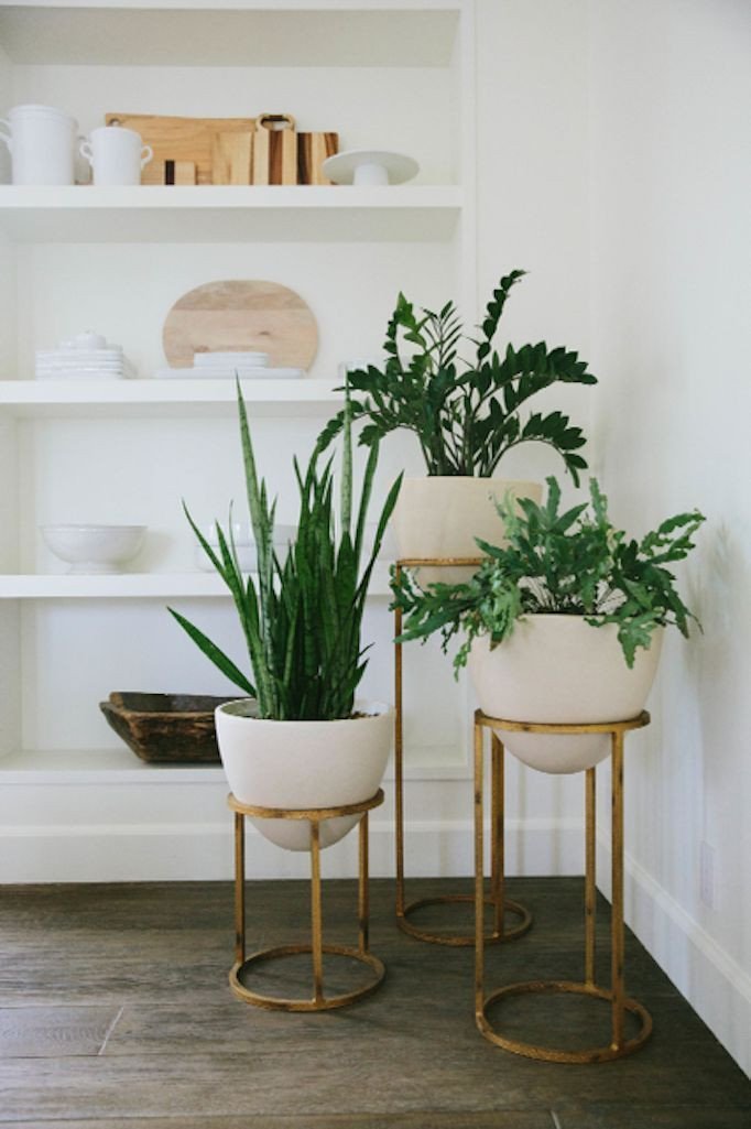 Plant Stand Ideas to Fill Your Living Room Beautiful 17 Best Ideas About Plant Stands On Pinterest