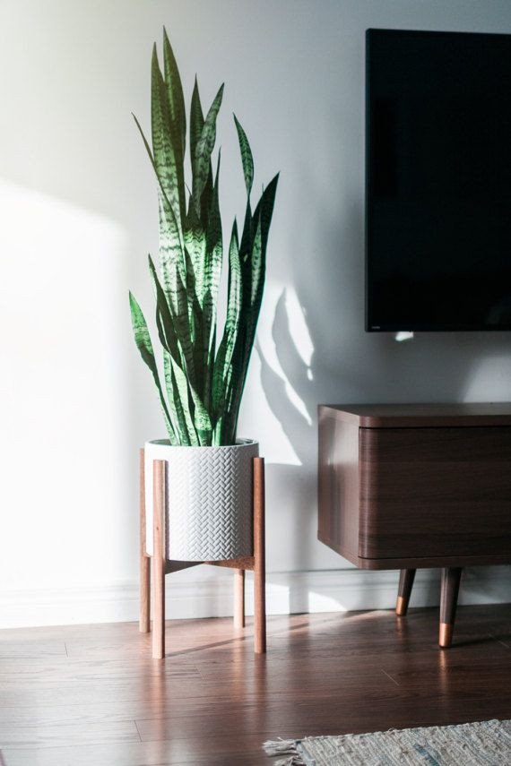 Plant Stand Ideas to Fill Your Living Room Beautiful Mid Century Modern Plant Stand Hand Made In Canada Walnut Wood Retro Home Decor