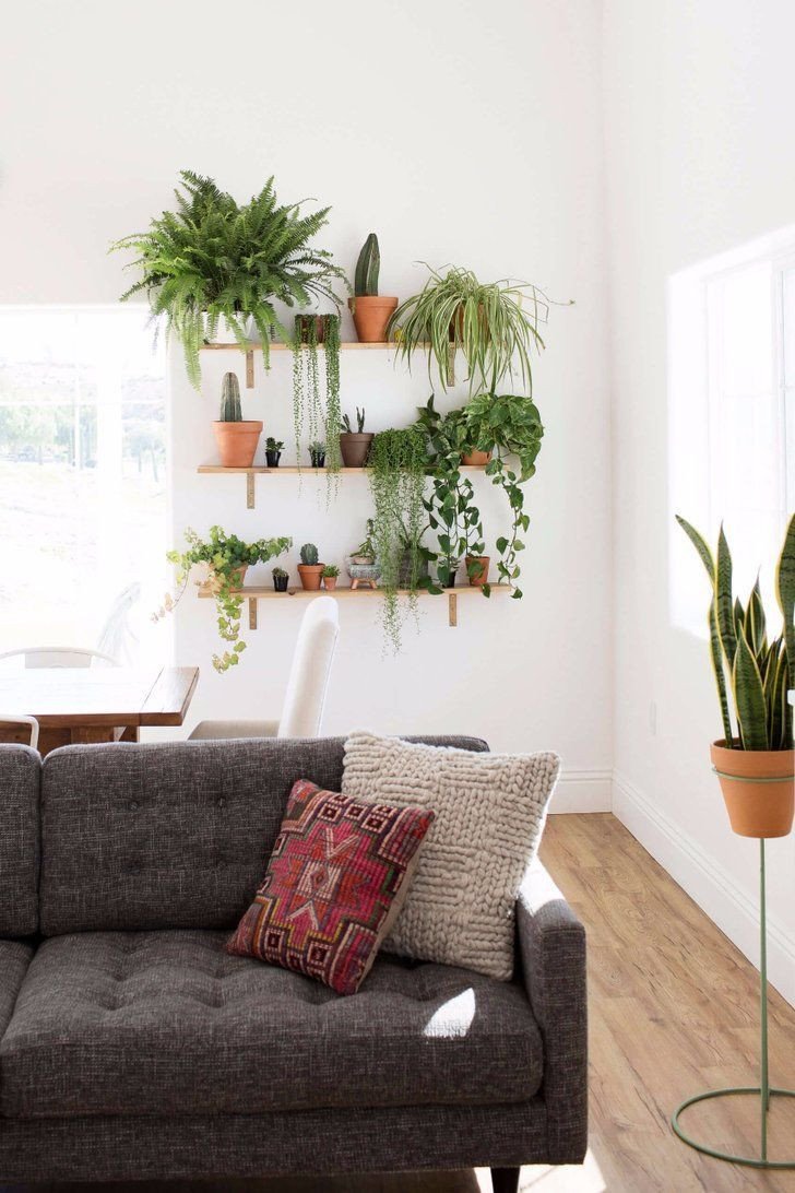 Plant Stand Ideas to Fill Your Living Room Best Of How to Create A Killer Garden Wall In Your Apartment Houseplants