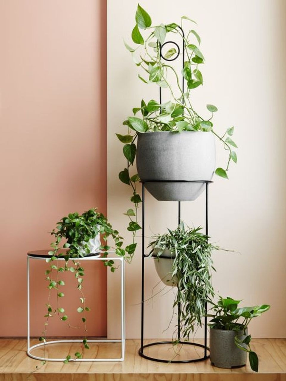 Plant Stand Ideas to Fill Your Living Room Elegant Cool Plant Stand Design Ideas for Indoor Houseplants