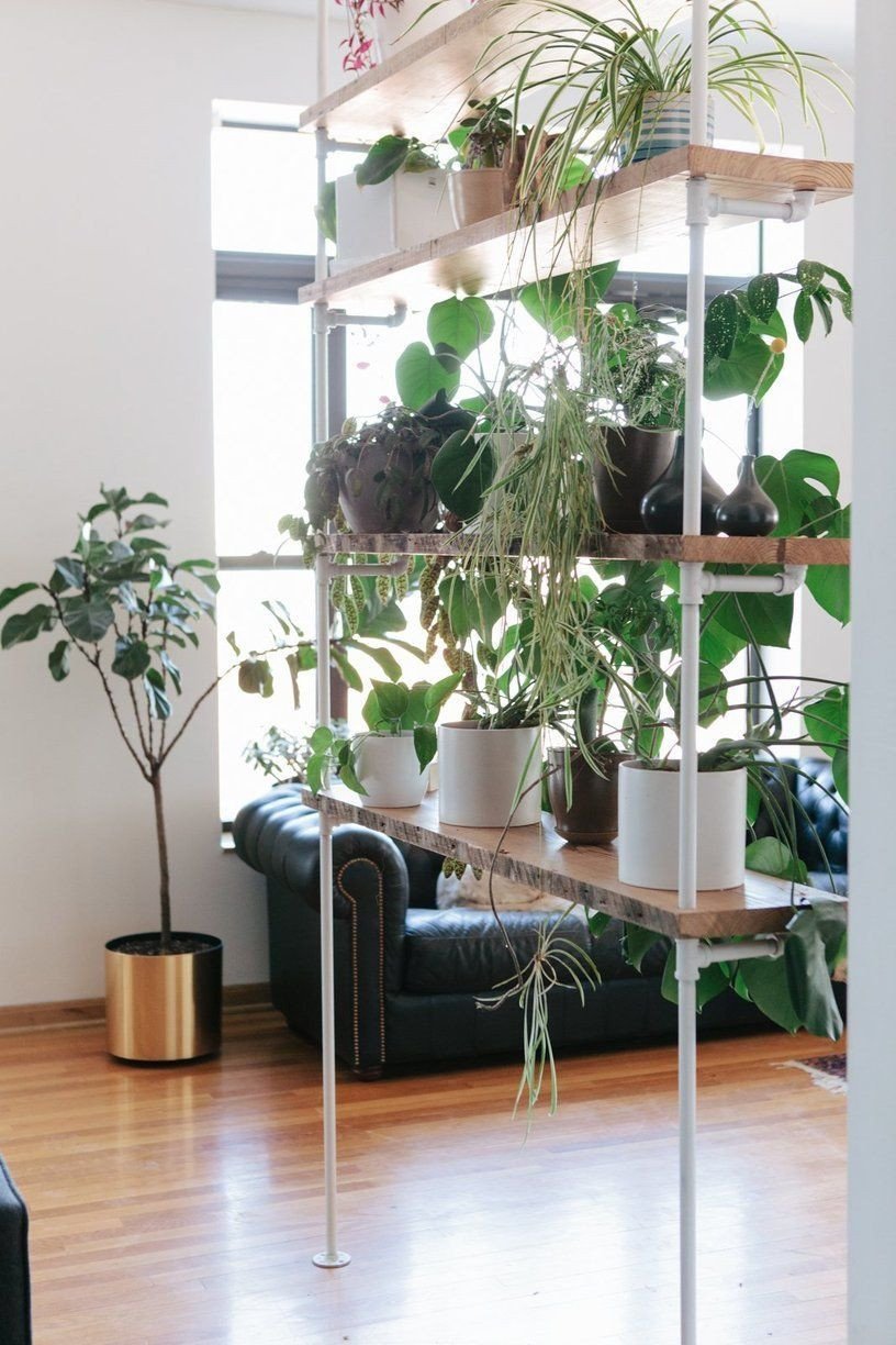 Plant Stand Ideas to Fill Your Living Room Elegant Sam &amp; Linsey’s thoughtful Chicago Home Apartment Interiors