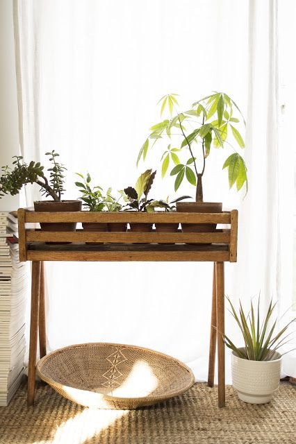 Plant Stand Ideas to Fill Your Living Room Lovely Best 25 Plant Stands Ideas On Pinterest