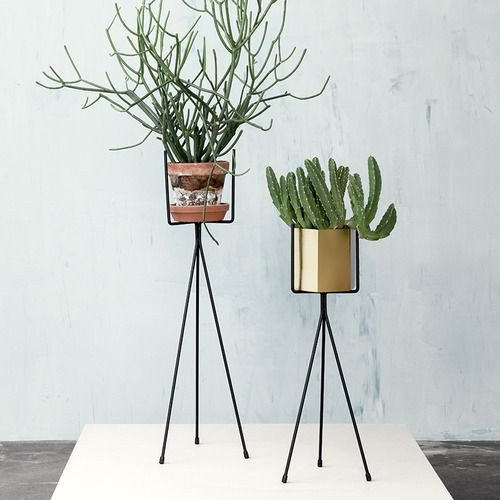 Plant Stand Ideas to Fill Your Living Room Lovely Best 25 Plant Stands Ideas On Pinterest