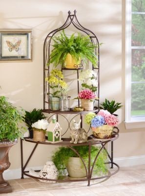 Plant Stand Ideas to Fill Your Living Room New 1000 Images About Kirkland Decorating Ideas On Pinterest