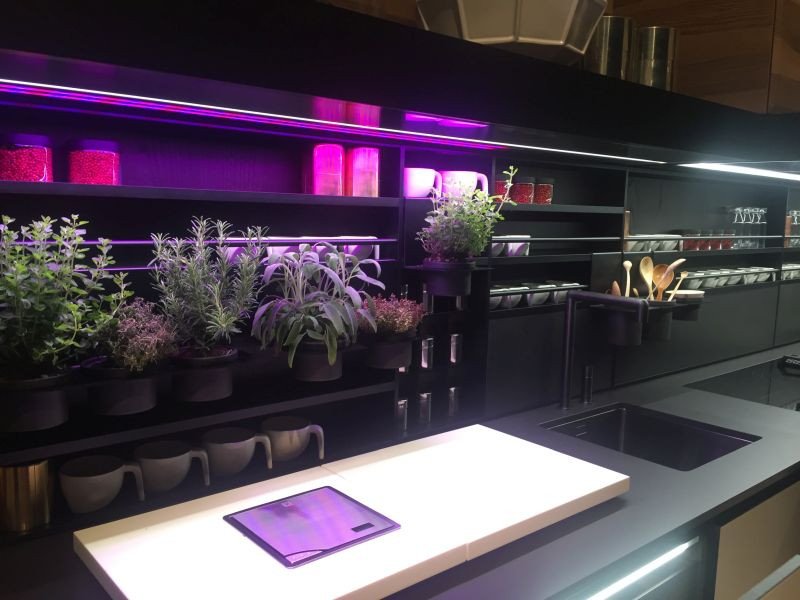 Purple and Black Kitchen Decor Lovely Under Cabinet Led Lighting Puts the Spotlight the Kitchen Counter