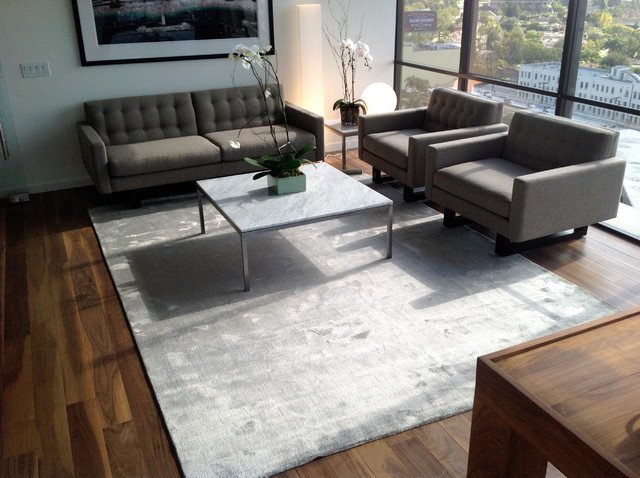 Rugs Contemporary Living Room Inspirational Happy Customers Contemporary Living Room Los Angeles by Modern Rugs La