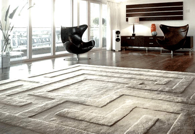 Rugs Contemporary Living Room Unique Sculptured Contemporary Rugs Floor Decor Ideas