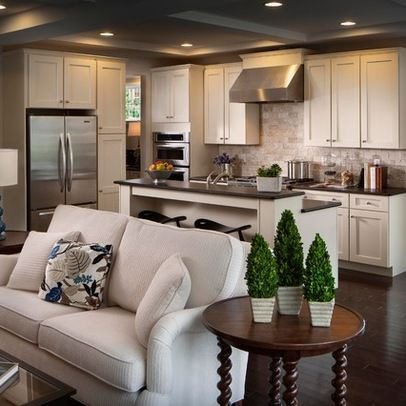 Small Kitchen Living Room Ideas Unique Houzz Home Design Decorating and Remodeling Ideas and Inspiration Kitchen and Bathroom