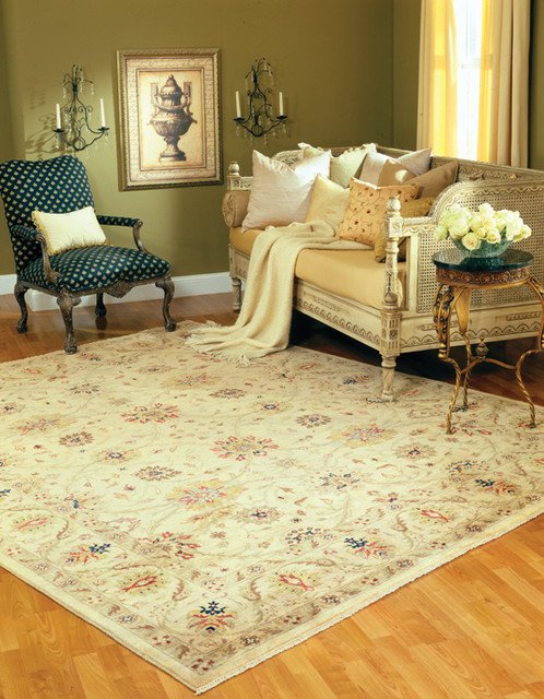 Traditional Living Room Rugs Inspirational Living Room area Rug