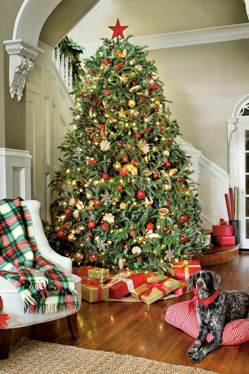 Tree Decor for Living Room Elegant Christmas Tree Decorating Ideas southern Living