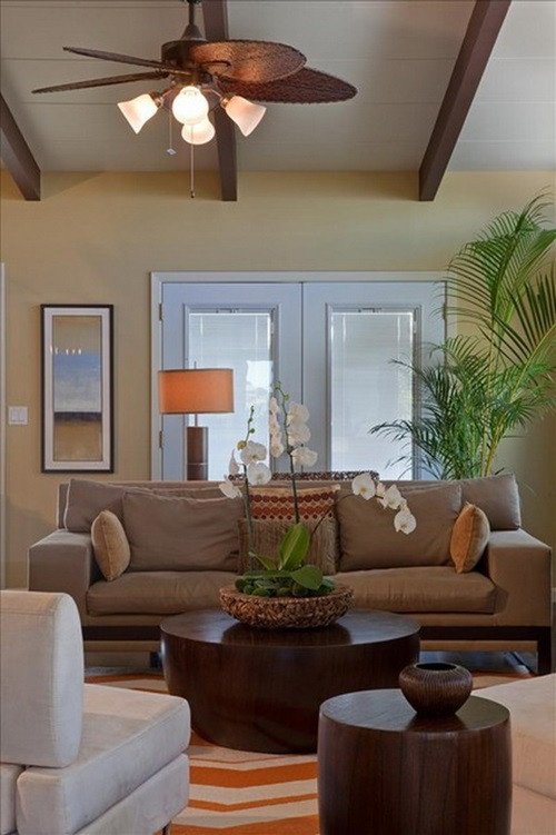Tree Decor for Living Room Fresh Designing A Palm Tree themed Living Room