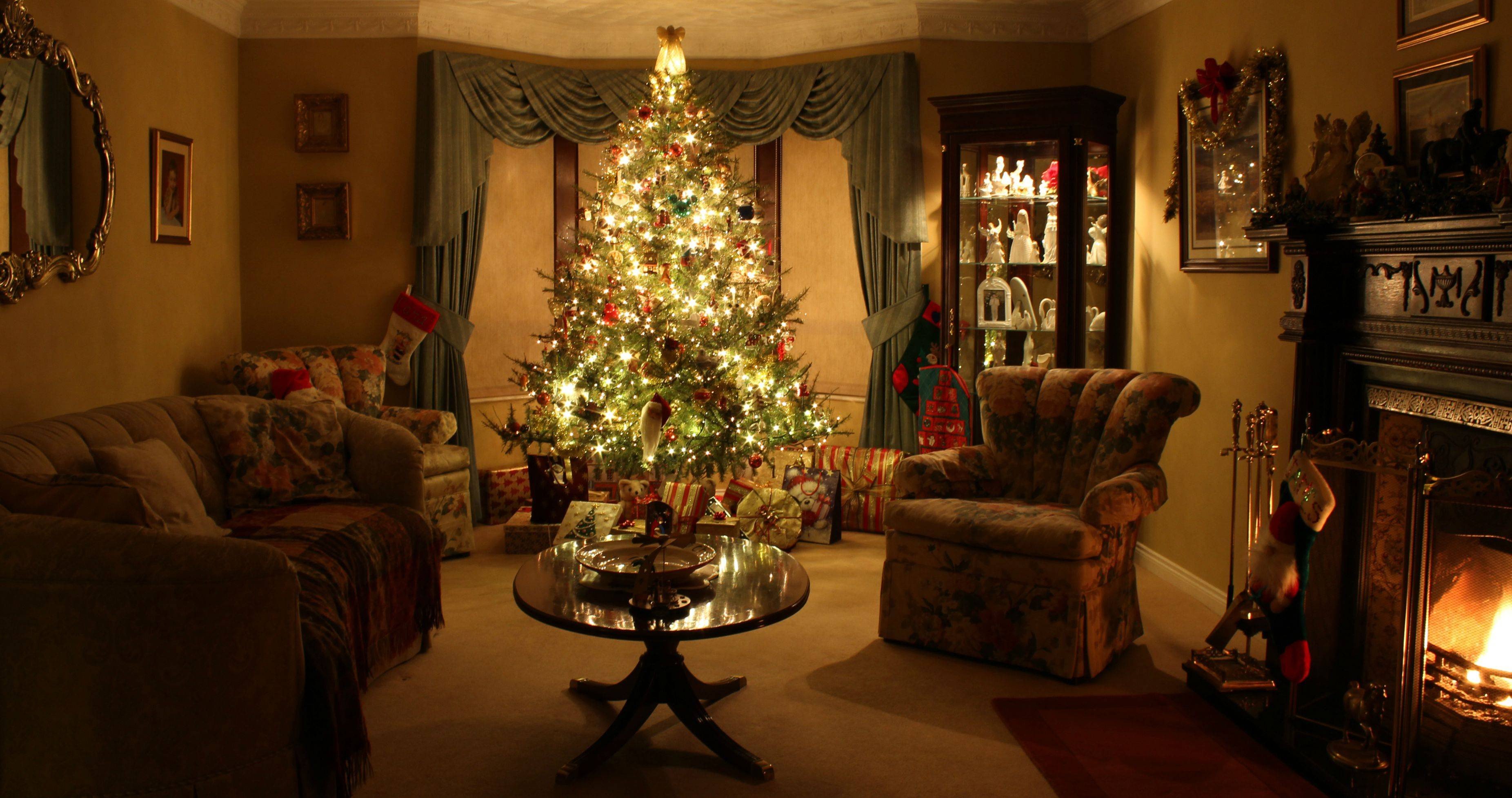 Tree Decor for Living Room Inspirational I Think My Living Room Oozes Christmas if I Say so Myself Pics