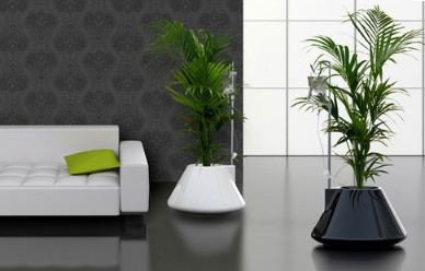 Using Plants In Home Decor Awesome How to Use Plants In Home Decor Free Blog Free Blog