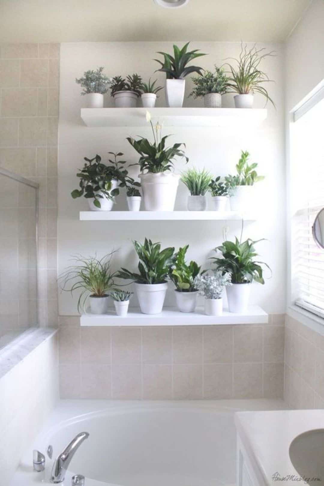 Using Plants In Home Decor Beautiful 19 Unique Home Decor Ideas with Plants